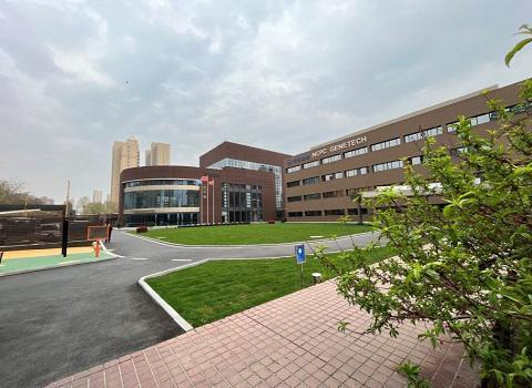 金坦厂区春意盎然充满勃勃生机